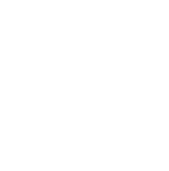 The Museum Without Walls White Logo